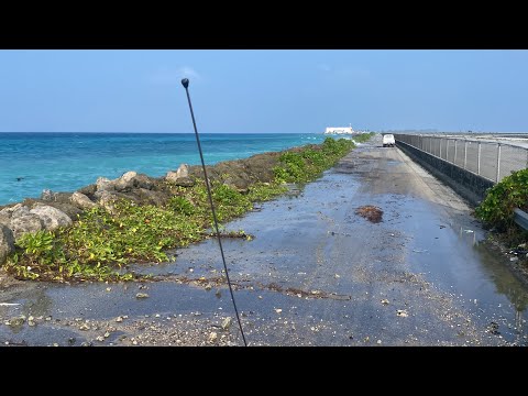 IBWIJLEPLEP ILO AIPORT