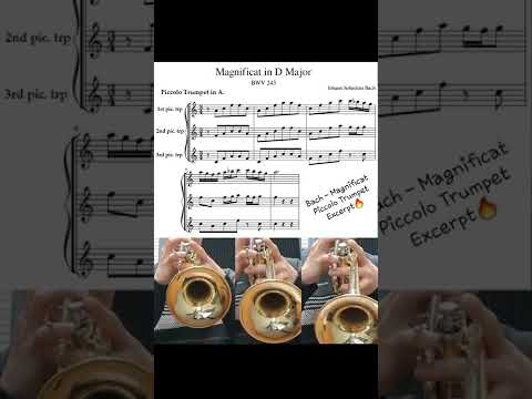 Bach - Magnificat Piccolo trumpet excerpt !!
