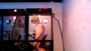 2012/12/15 HOT-SHOT投籃機雙打1846分~Mp4