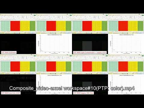 Composite_video-excel workspace#10(PTP; color)