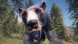 The hunter call of the wild slideshow (music by Anna Mae )