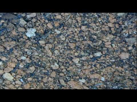 Music of Yoga - Madhava He