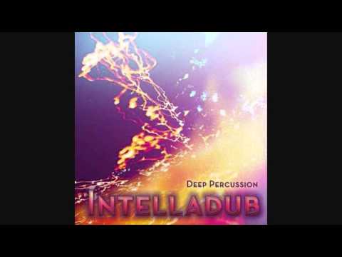 Erbivore - Intelladub (Liquid DnB Mix)