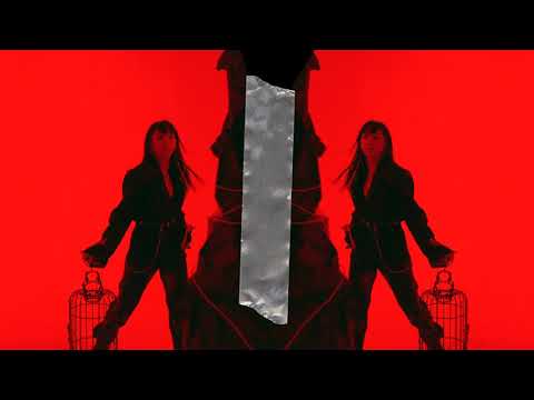 T.i Shoot Daily Video