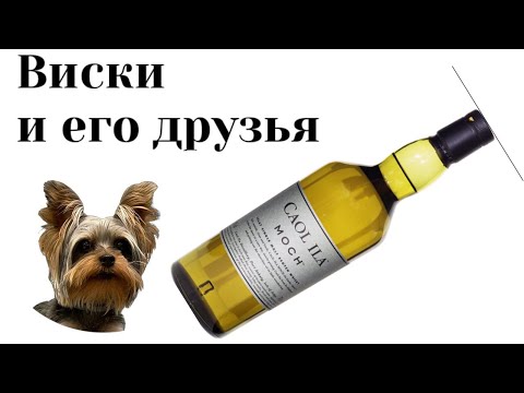 tasting Caol Ila Moch