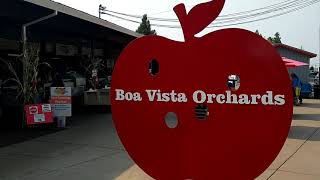 秋到来！サクラメントの人気スポット、Apple Hill