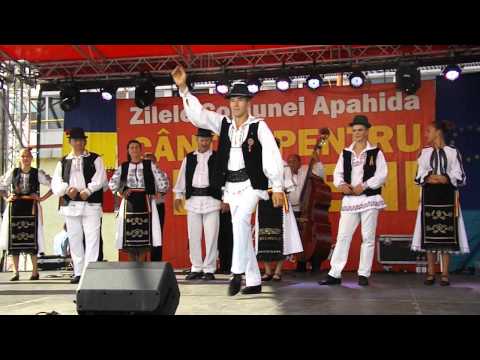 INFOAPAHIDA.RO Ansamblul de dansuri de la Frata la Zilele Apahidei 2014