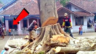 Extremely Dangerous Tree Cutting Fails With Chainsaw ! Idiots Tree Falling Skills Compilation