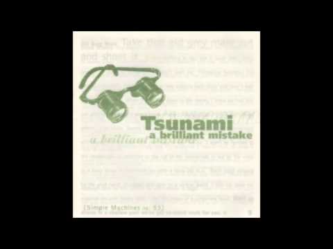 Tsunami - David Foster Wallace