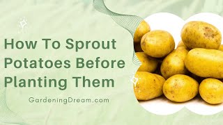 How To Sprout Potatoes Before Planting Them