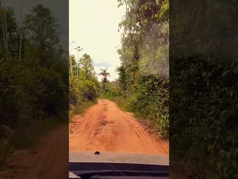 Comunidade Aruru, município de Vitória do Jari, Amapá