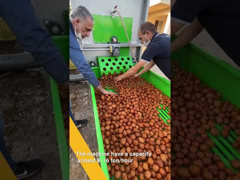 Walnut Huller (Green Skin Peeler) - Kadıoğlu Magnum 2