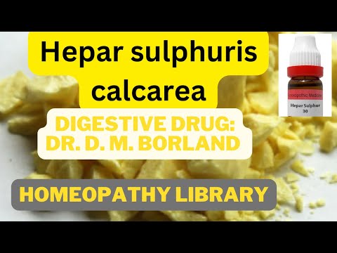 Hepar Sulphuris Calcarea (HEPAR SULPH.) : Action on digestive system as describes Dr. Borland D.M.