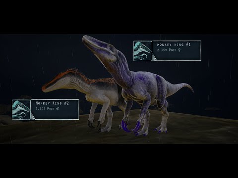 Настолько ли сильны мегарапторы? | Beasts of Bermuda