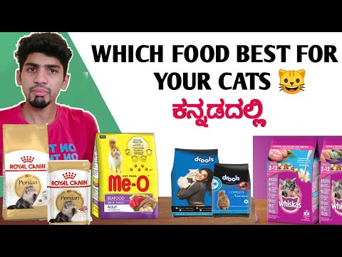 persian cat food comparision in kannada | Pet perfect care