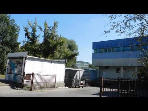 Tiger Bonzo grzebie w śmietniku!