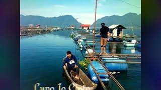 Download lagu Lupo Jo Raso cinto ~ Rhenima mp3