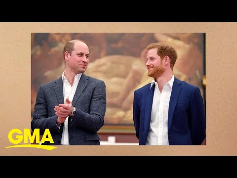 Prince Harry and Prince William through the years l GMA