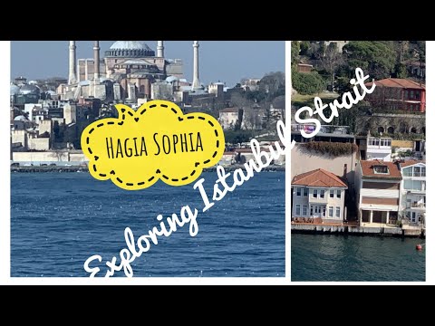 Big Ship Passing Istanbul Strait #istanbul  #türkei #bosphorus #istanbulturkey #oiltanker #bigships