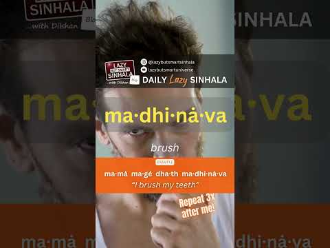 Brush in Sinhala | Learn Sinhala