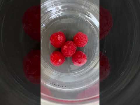 Puff is trying out every single ice tray you can find! ​⁠#thatlittlepuff #catsofyoutube #hacks