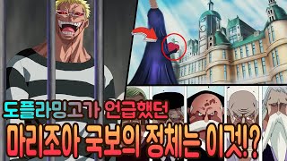도플라밍고가 언급한 마리조아의 국보는 바로 이것!?