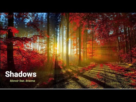 Shadows - Monoir feat.Brianna (Lyrics)