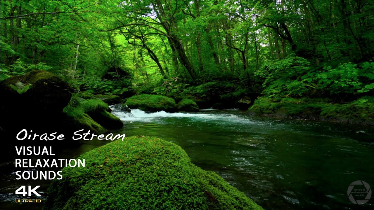 【3時間】奥入瀬渓流の自然音で心を落ち着ける｜睡眠・作業用