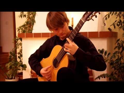 Lukasz Kapuscinski - Harry Potter - Acoustic Guitar Medley (with TABs)