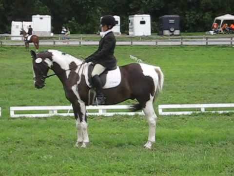 Jolly Good Sport D Waredaca BN - Aug 2010