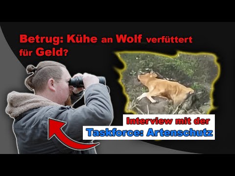 Flo & Fauna and Taskforce Artenschutz