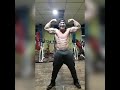 Preparación para el Arnold Classic south América 2019