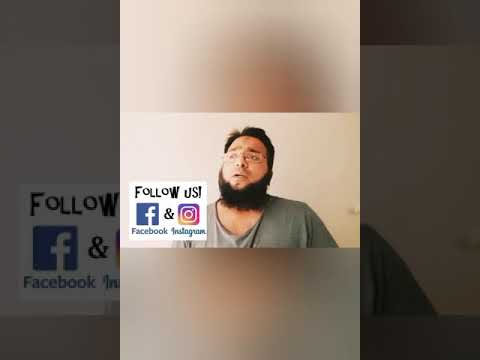 role of language in economy