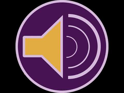 .50 Cal Pistol Shots 02 A - Sound FX (HQ)