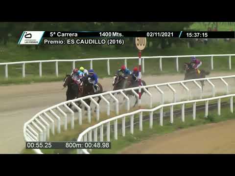 211102 c05 - MAGGOT BOY- HIPODROMO LAS PIEDRAS