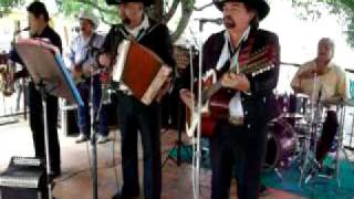 LOS ALEGRES DE PIEDRAS NEGRAS (el golpe traidor)