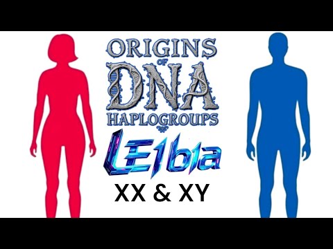 E1b1a Map