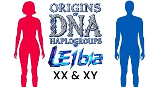 Origins of L & E1B1A and XX & XY Chromosomes 