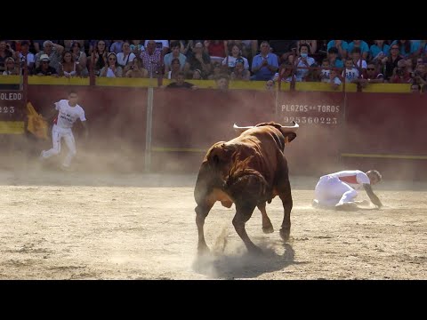 Concurso con Toros Bravos Renedo 2022
