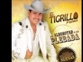 El Tigrillo Palma POBRE RICO