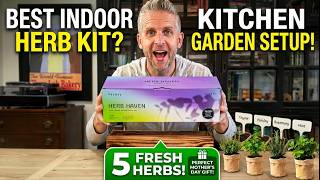 Indoor Plant Kit Review | 5 Herb Garden Breakdown