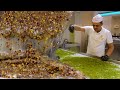 Making the Amazing Turkish Delight! Turkish delight recipe in the factory! Most famous street food!