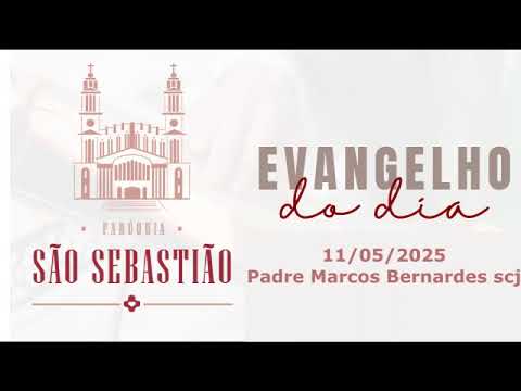 Evangelho do dia 11-05-2025 Padre Marcos Bernardes scj