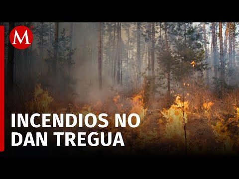 Registran 19 incendios forestales activos en Chiapas
