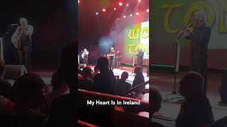 My Heart Is In Ireland (The Wolfe Tones, Derry, 2024) #livemusic #music #irishmusic #irishband.