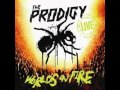 PRODIGY ~~ FIRESTARTER DUBSTEP (REMIX ...