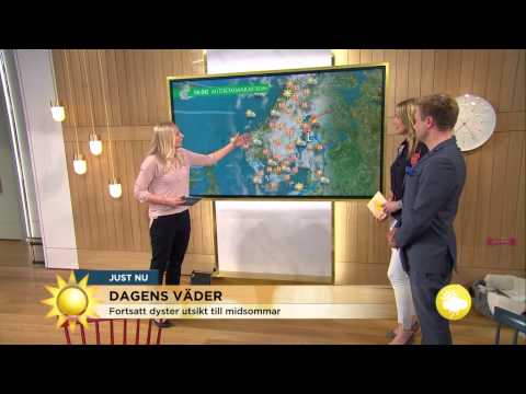 Meteorologen om midsommarvädret: "Räkna med max 15 grader varmt och regn" - Nyhetsmorgon (TV4)