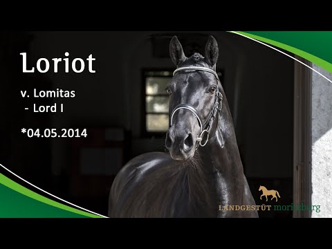 LORIOT v. Lomitas – Lord I