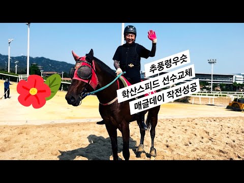 추풍령우승, 학산스피드 선수교체, 매글데이 작전성공