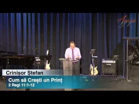 Crinisor Stefan - Cum Sa Cresti Un Print